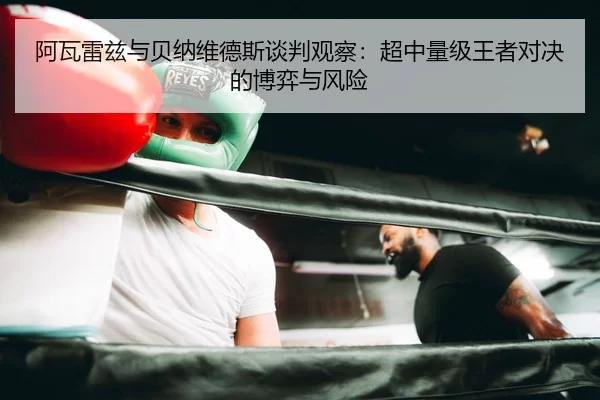 a-wa-lei-zi-yu-bei-na-wei-de-si-tan-pan-guan-cha-chao-zhong-liang-ji-wang-zhe-dui-jue-de-bo-yi-yu-feng-xian-2-400.jpg