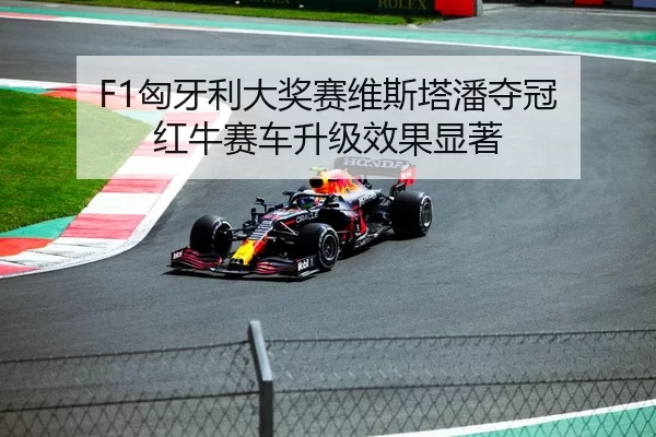xiong-ya-li-da-jiang-sai-wei-si-ta-pan-duo-guan-hong-niu-sai-che-sheng-ji-xiao-guo-xian-zhu-3-414.jpg